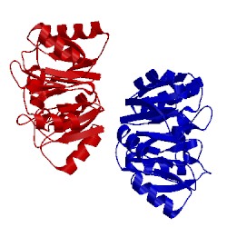 Image of CATH 1g61