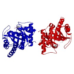 Image of CATH 1g67