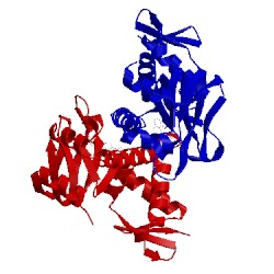 Image of CATH 1g6n