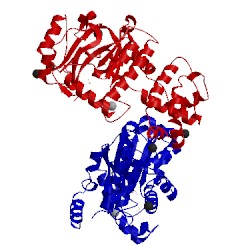 Image of CATH 1g71