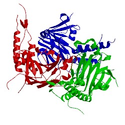 Image of CATH 1g88