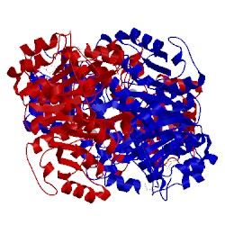 Image of CATH 1g8m