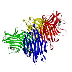 Image of CATH 1g8w