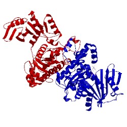 Image of CATH 1g99