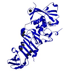 Image of CATH 1g9k