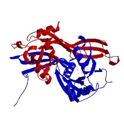 Image of CATH 1g9q