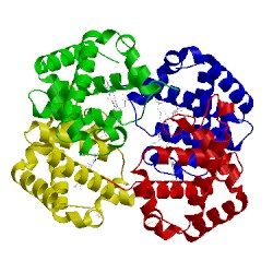 Image of CATH 1g9v