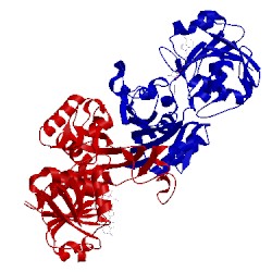 Image of CATH 1gae