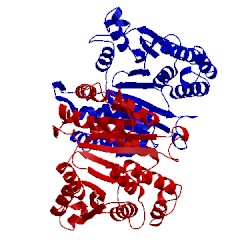 Image of CATH 1gc8