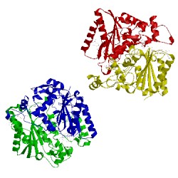 Image of CATH 1gg5