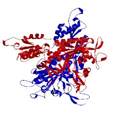 Image of CATH 1ggm