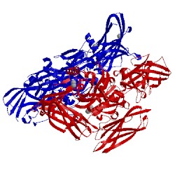 Image of CATH 1ggy