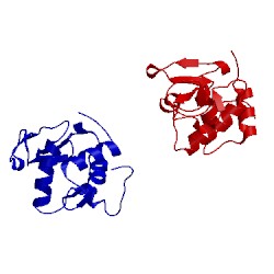 Image of CATH 1ghl