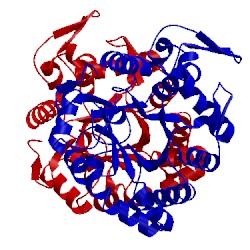 Image of CATH 1ghs