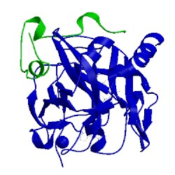 Image of CATH 1ghv