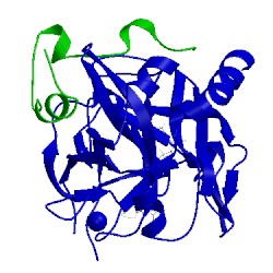 Image of CATH 1ghw