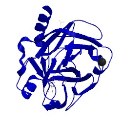 Image of CATH 1gi5