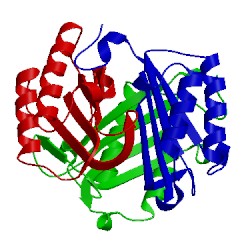 Image of CATH 1gif