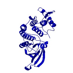 Image of CATH 1gij