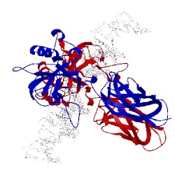 Image of CATH 1gji