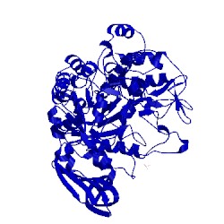 Image of CATH 1gju