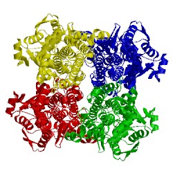 Image of CATH 1gk2