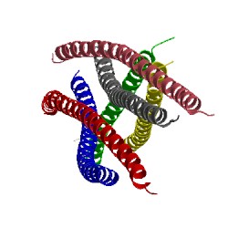 Image of CATH 1gk4