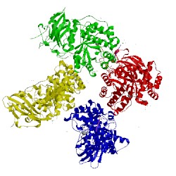 Image of CATH 1gk8