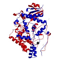 Image of CATH 1gk9