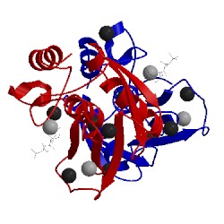 Image of CATH 1gkc