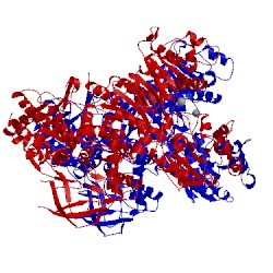 Image of CATH 1gl9