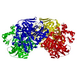 Image of CATH 1glf