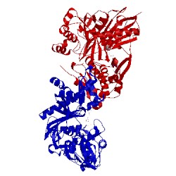 Image of CATH 1glj