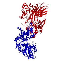 Image of CATH 1gll