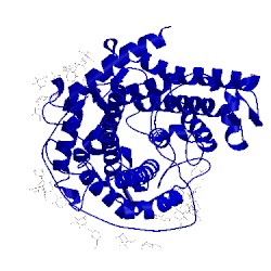 Image of CATH 1glm