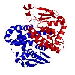 Image of CATH 1glq