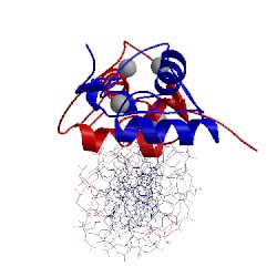 Image of CATH 1glu