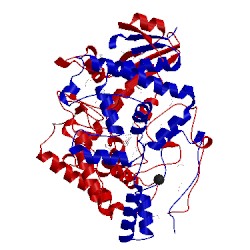 Image of CATH 1gm7