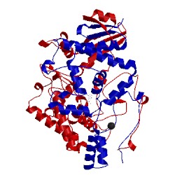 Image of CATH 1gm8