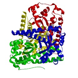 Image of CATH 1gn4