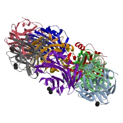 Image of CATH 1gnh