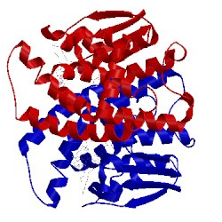 Image of CATH 1gnw