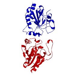 Image of CATH 1gp1