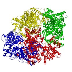 Image of CATH 1gpa