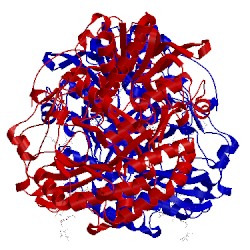 Image of CATH 1gpe