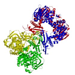 Image of CATH 1gpm