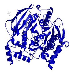 Image of CATH 1gpn