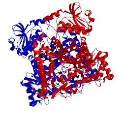 Image of CATH 1gql