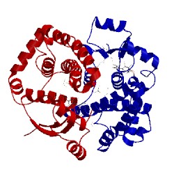 Image of CATH 1gse