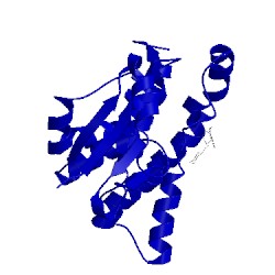 Image of CATH 1gtb